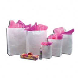 50 sacs papier blanc 50 sacs papier blanc